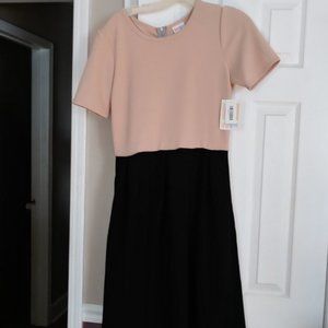 LuLaRoe 2-tone dress, Large, NWT